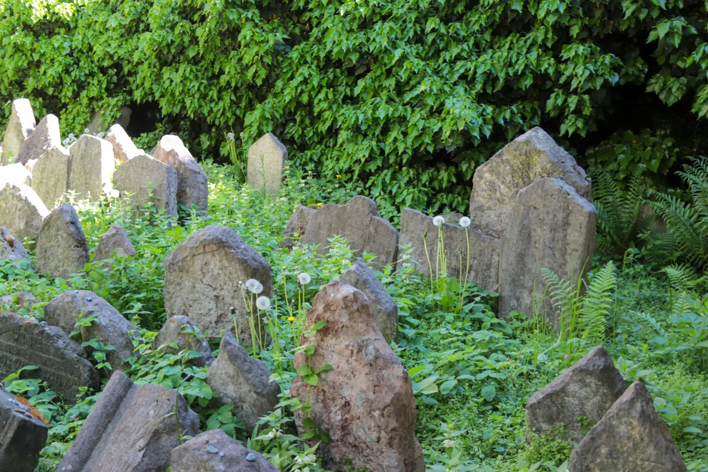 Synagoge im Prager Jüdischen Viertel